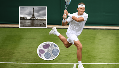 Casper Ruud makes winning return to Wimbledon, reveals harrowing Roland Garros parasite | Tennis.com