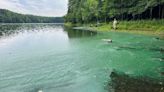 Harmful algae outbreak in 2 Montgomery County park lakes prompts swimming advisory