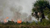 Florida firefighters respond to brush fire, discover charred body
