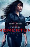 Momentum (2015 film)