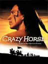 Crazy Horse (film)