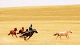 La movilidad basada en caballos domésticos se remonta a 4.200 años