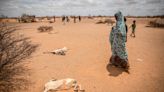 Drought and the Ukraine War Are Pushing Somalia Toward a Catastrophic Famine