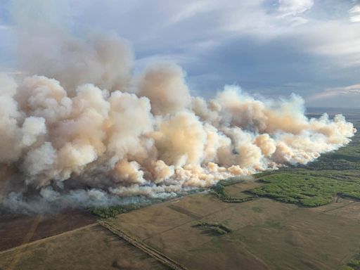 Canadian wildfires trigger air quality alerts across 4 U.S. states