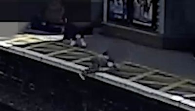 Watch heart-stopping moment child falls onto station train tracks