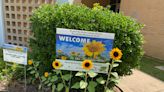 Planting seeds of hope: Neighborhood Sunflower Project beautifies libraries, rec centers in Shreveport