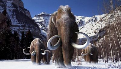 Manual para 'resucitar' a un mamut: ¿es científica y moralmente aceptable traer de vuelta especies desaparecidas?