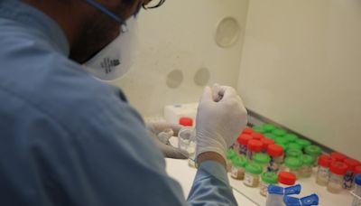 La vacuna 100% marca España que combatirá la enfermedad más mortífera de la historia no tiene financiación suficiente