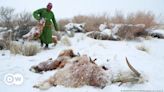蒙古：牧民艱難謀生，野生動物日子更不好過 – DW – 2024年5月12日
