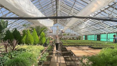 Thousands of plants blooming in tucked-away greenhouse will soon cover Wascana gardens, Government House