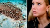 No One Should Ever Go Into The Ocean, And These Pictures Of Terrifying Sea Creatures Will Prove It