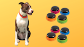 I taught my dog to talk (sort of) thanks to these recordable buttons — down to $4.50 a pop