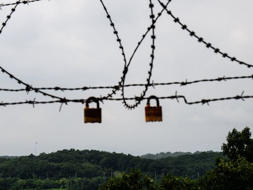 North Korean defector steals bus to try and drive back after struggling to adapt to life in South