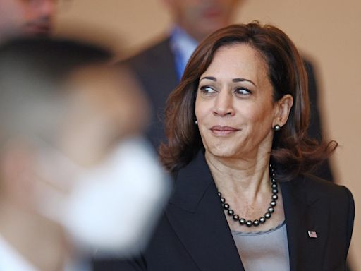 Quem Kamala Harris poderá escolher como companheiro de chapa?