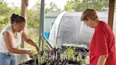 Amy-Lynn Albertson: Plant propagation classes planned - Salisbury Post