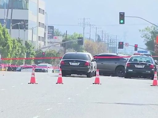 North Hollywood shootout: 2 dead after shots fired at LAPD officers