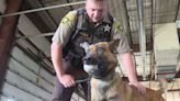 Burleigh County Sheriff’s introduce new K9 unit