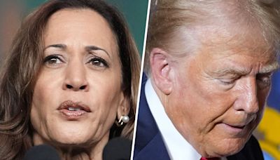 Harris leading Trump by six points in new 2024 polling