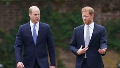 William hires Harry & Meghan’s 'dear friend' to help lead £50m eco-project