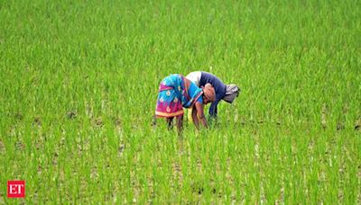 Indian farmers rush to plant summer crops as monsoon revives - The Economic Times