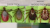 UT Institute of Agriculture urges people to check for ticks after spending time outside, avoiding pathogens