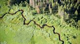 Snake River ranked 4th most endangered in nation. Momentum builds to remove dams