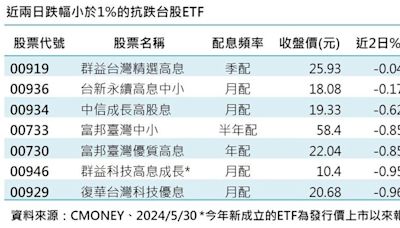 無畏大盤兩天大跌五百點 這檔台股ETF最跟漲抗跌