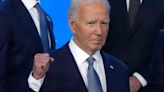 What happens if Joe Biden drops out of his re-election race?