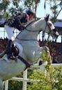 Guy Williams (equestrian)