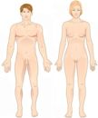 Standard anatomical position