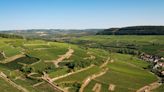 Vinhos tintos e brancos da francesa Pierre André são porta de entrada para os encantos da Borgonha