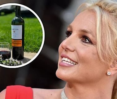 Britney Spears elogió a un Malbec mendocino y lo compartió en sus redes: cuál es la bodega que eligió | Economía