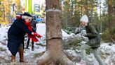 Trafalgar Square Christmas tree begins its annual journey from Norway