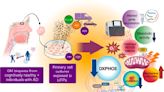 Study shows traffic-related ultrafine particles hinder mitochondrial functions in olfactory mucosa