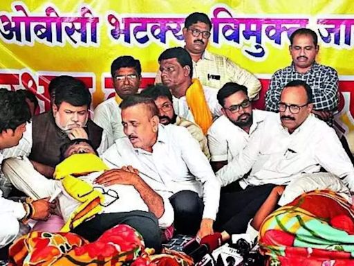 Maharashtra OBC activists halt stir as government says will protect quota | India News - Times of India