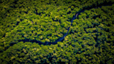Who Are The Mashco Piro? Uncontacted Tribe In Peruvian Amazon Faces Habitat Crisis With Logging Set To ...