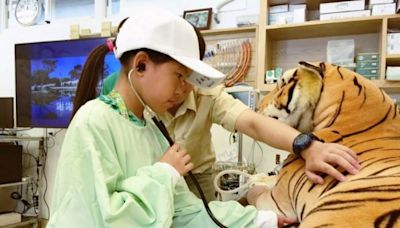 全台唯一結合動物園與遊樂園暑期生態營隊限額釋出關西六福莊「小小獸醫實習營」 讓孩童體驗動物園獸醫實習近距離幫犀牛健檢 | 蕃新聞