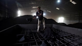 Coal India reports 4% rise in Q1FY25 consolidated net profit