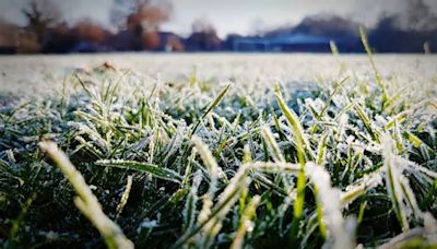 Wetter heute in Schwerin: Wegen Frost! Wetterdienst gibt Warnung aus