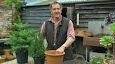 Monty Don says gardeners using peat are ‘irresponsible’ and calls for Government ban