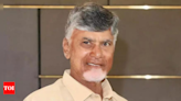 We should work together for interests of Telugu people: Andhra CM | India News - Times of India