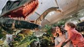 Dinosaurs, goat yoga, ‘Nemo’ highlight best things to do this weekend in Lexington