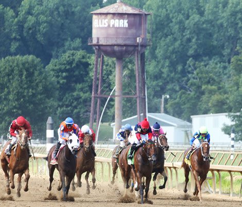 Water Tank Issue Closes Ellis Park to Patrons July 4