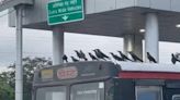 Flock of Crows Takes a Ride on Mumbais ‘Best’ Bus; Video Goes Viral-Watch