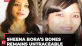 'Biggest blunder…': Indrani Mukerjea's lawyer after Sheena Bora's bones remain untraceable