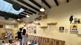 10 dog & cat cafes where you can play with adorable furry friends in Singapore