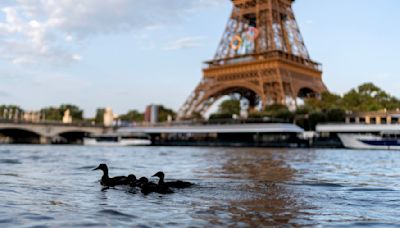巴黎奧運／天公不作美！ 降雨壞塞納河水質 鐵人三項恐變兩項