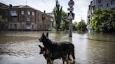 Drowned zoo animals and rescued pets: Ukraine counts ‘catastrophic’ environmental cost after dam blast