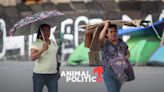 Reportan 48 muertes y 956 casos por ola de calor en México
