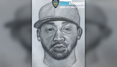 NYPD releases sketch of predator who attempted to rape Central Park sunbather